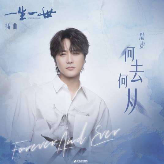 何去何从（陆虎演唱的影视剧插曲）