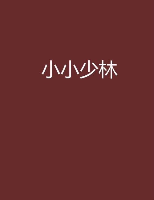小小少林
