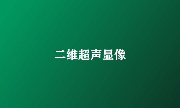 二维超声显像