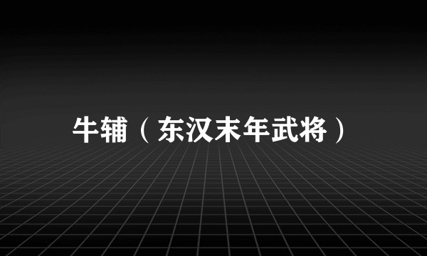 牛辅（东汉末年武将）