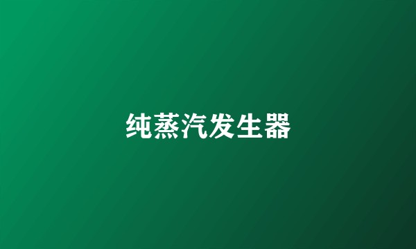 纯蒸汽发生器