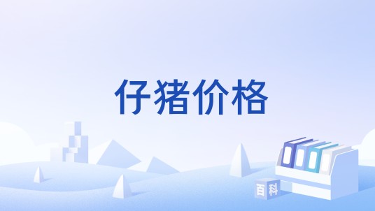 仔猪价格