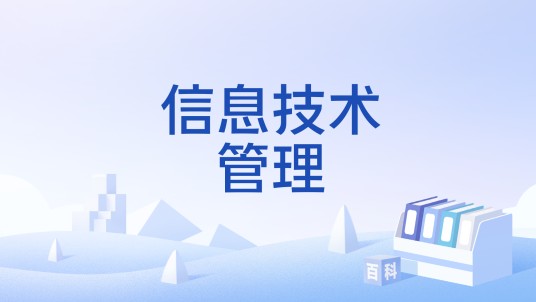 信息技术管理