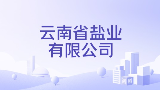 云南省盐业有限公司
