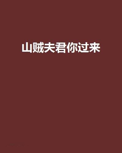 山贼夫君你过来