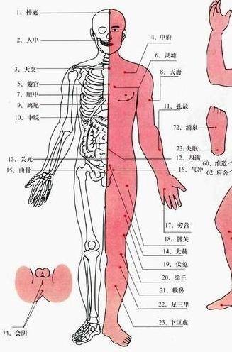 尾闾穴