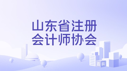 山东省注册会计师协会