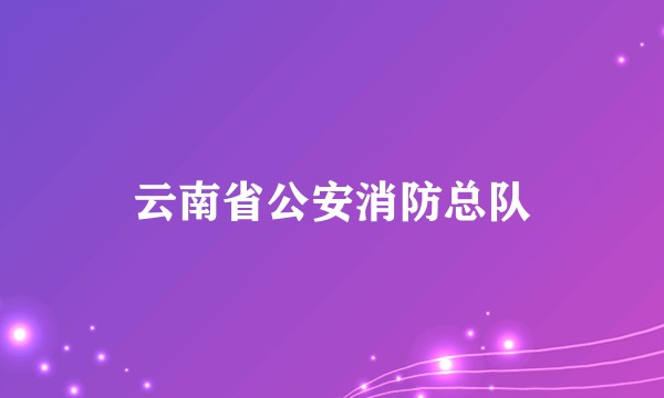 云南省公安消防总队