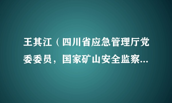 王其江（四川省应急管理厅党委委员，国家矿山安全监察局四川局党组书记、局长）