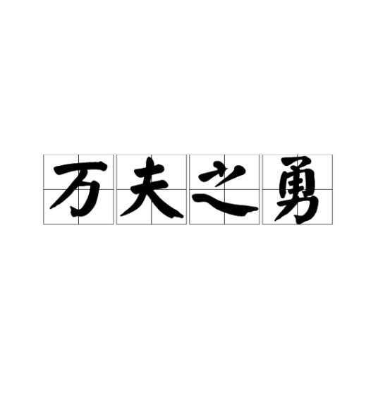 万夫之勇（汉语成语）