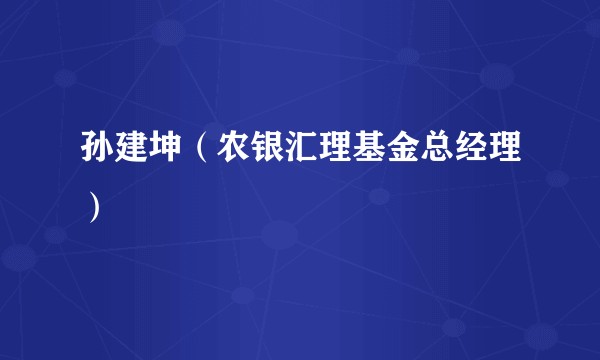 孙建坤（农银汇理基金总经理）