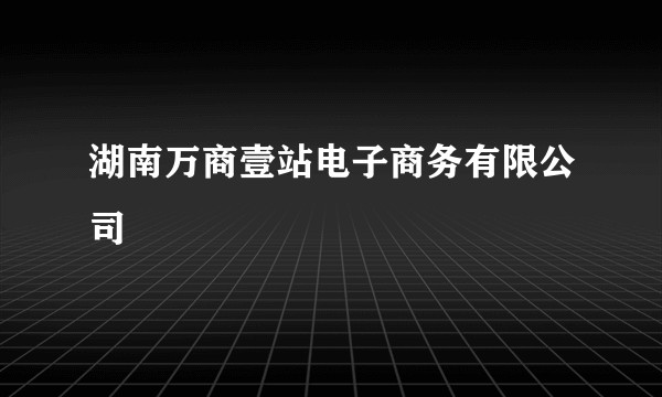 湖南万商壹站电子商务有限公司