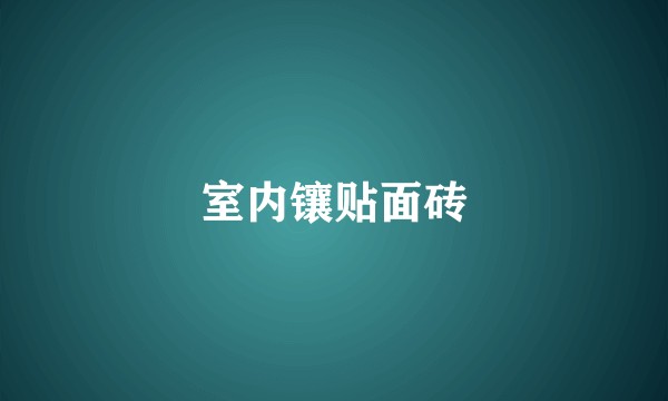 室内镶贴面砖
