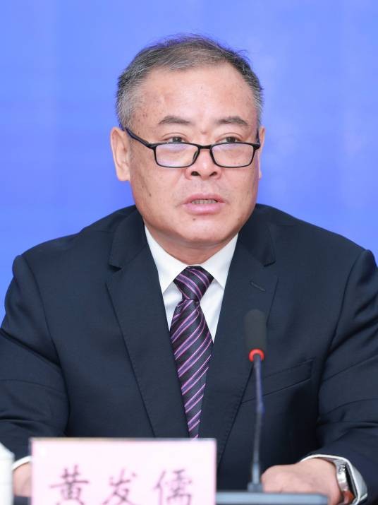黄发儒