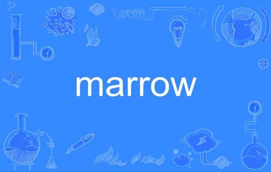 marrow