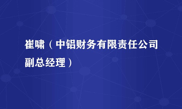 崔啸（中铝财务有限责任公司副总经理）