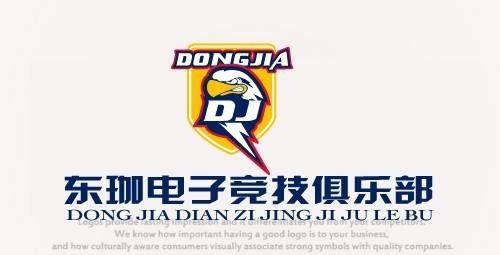 东珈精鹰