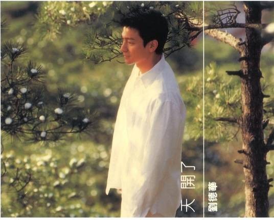 踢出个未来（2001年刘德华演唱的歌曲）