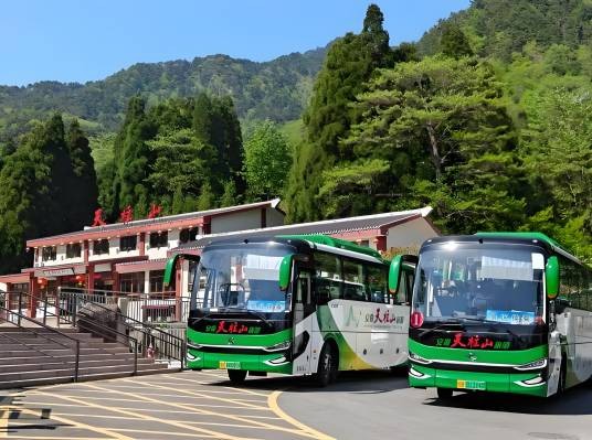 2026年景区摆渡车乱象
