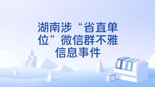 湖南涉“省直单位”微信群不雅信息事件