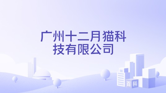 广州十二月猫科技有限公司