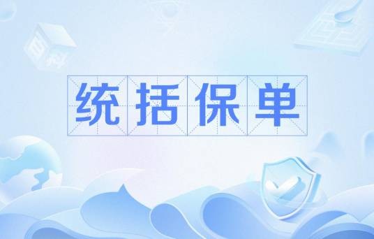 统括保单