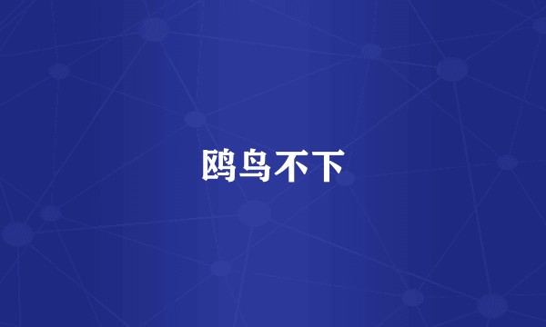 鸥鸟不下
