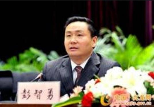 彭智勇（重庆市九龙坡区委书记）