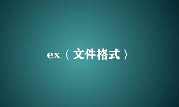ex（文件格式）