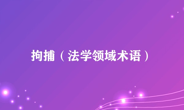 拘捕（法学领域术语）