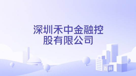 深圳禾中金融控股有限公司