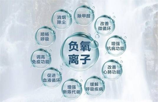 生态级负离子