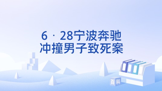 6·28宁波奔驰冲撞男子致死案