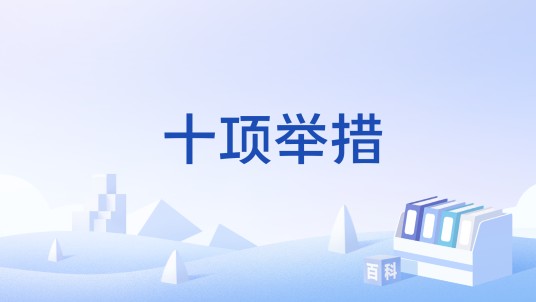 十项举措