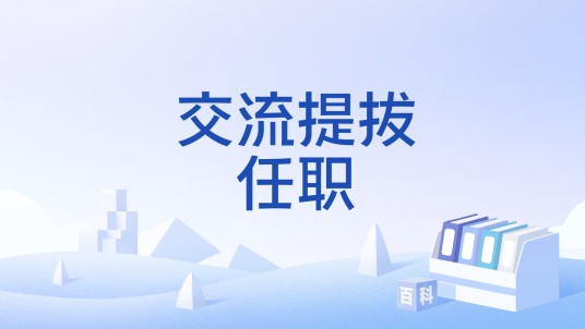 交流提拔任职