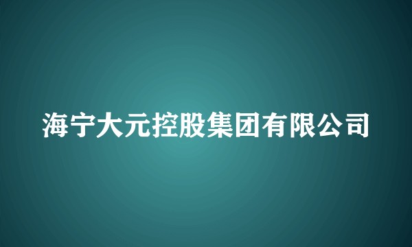 海宁大元控股集团有限公司