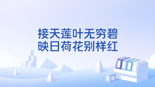 接天莲叶无穷碧，映日荷花别样红