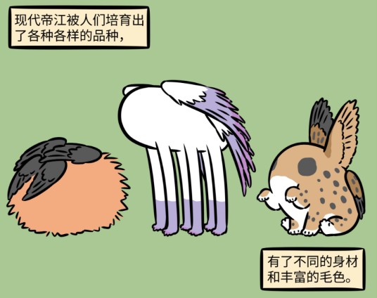 帝江（漫画《非人哉》中的神话生物）