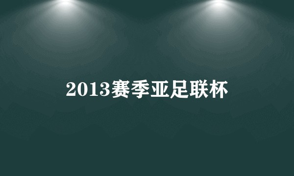 2013赛季亚足联杯