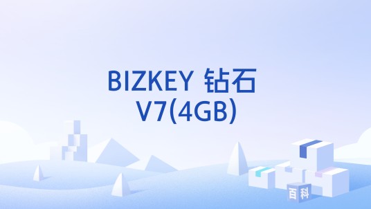 BIZKEY 钻石 V7(4GB)