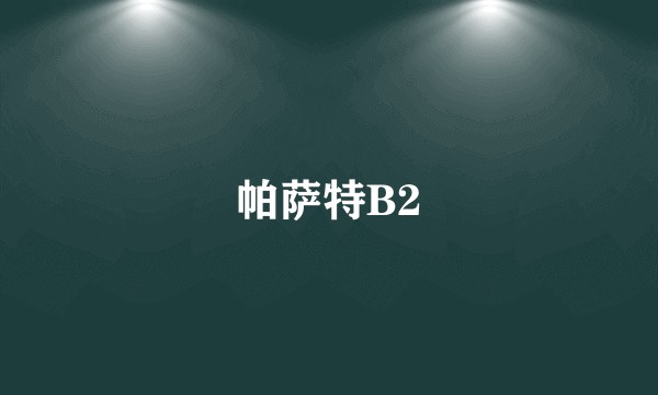 帕萨特B2