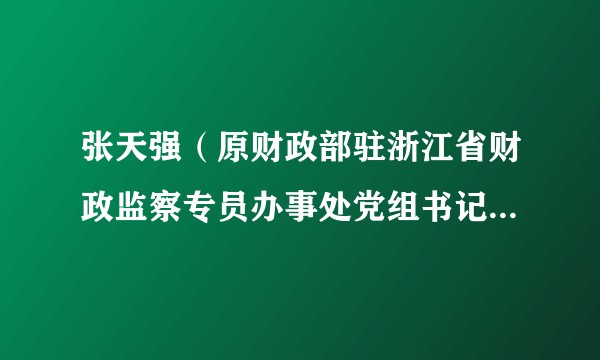 张天强（原财政部驻浙江省财政监察专员办事处党组书记、监察专员）