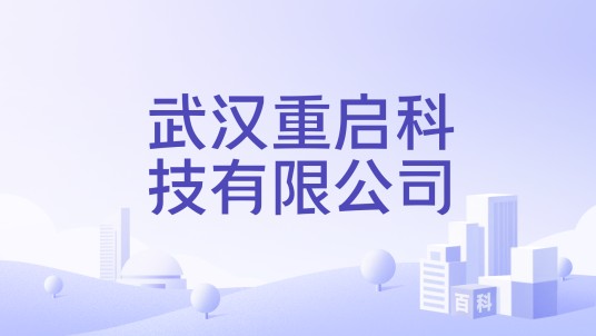 武汉重启科技有限公司