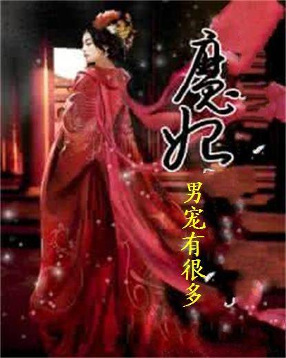 魔妃男宠有很多