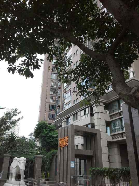 厦门海豚湾