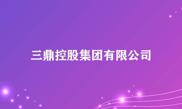 三鼎控股集团有限公司