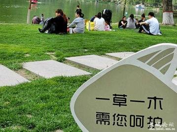 一草一木（汉语成语）