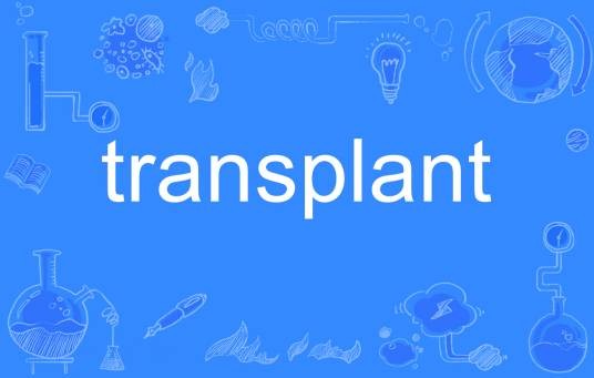 transplant（英语单词）
