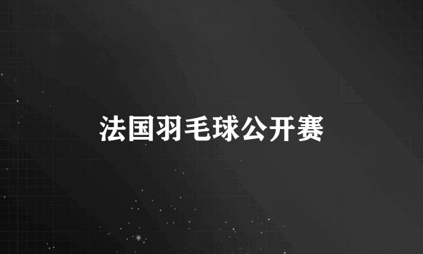 法国羽毛球公开赛