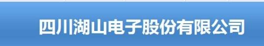 四川湖山电子股份有限公司